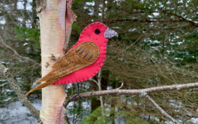 The Radiant Red Crossbill