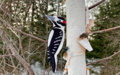 The Humble Hairy Woodpecker