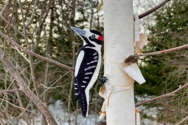 Free Hairy Woodpecker Felt Pattern