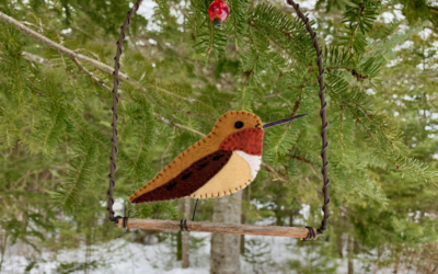 The Pugnacious Rufous Hummingbird