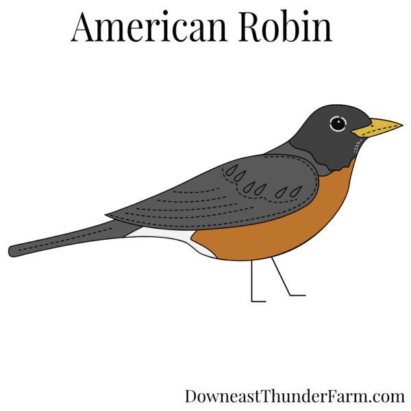 American Robin Felt Ornament