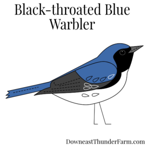 Black-throated Blue Warbler Felt Kit