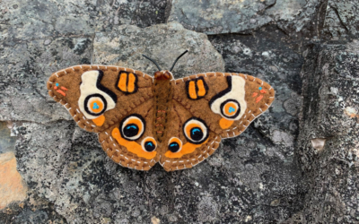 The Beautiful Buckeye Butterfly