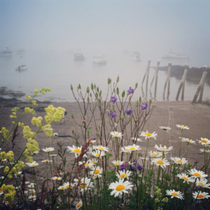 cutler harbor in the fog