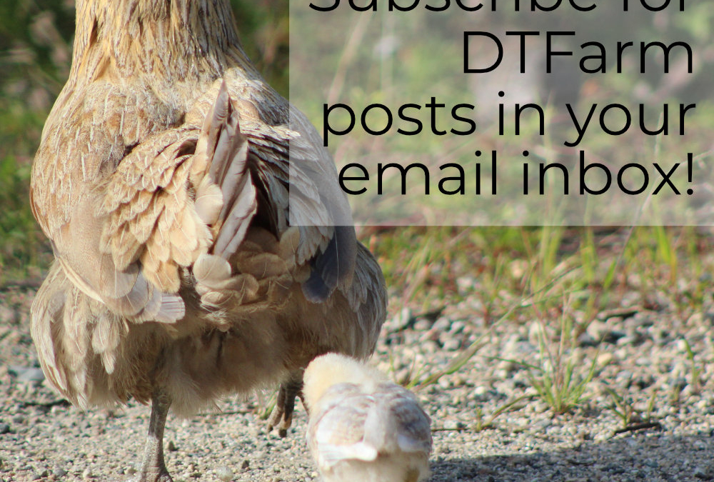 Subscribe to the Downeast Thunder Farm Blog!