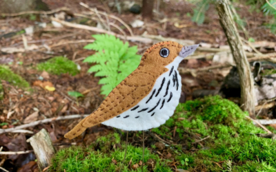 The Downeast Thunder Farm Ovenbird