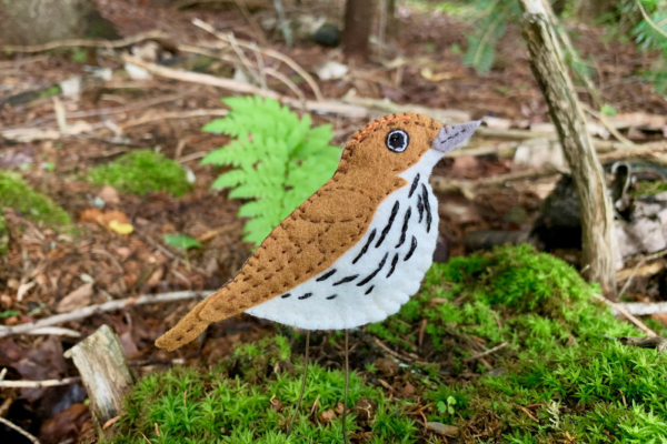 ovenbird felt pattern