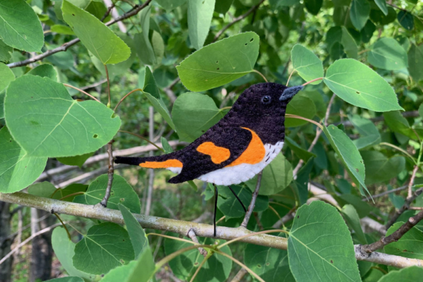 American Redstart Felt Pattern