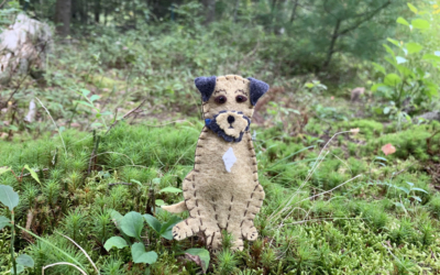The Boundless Border Terrier