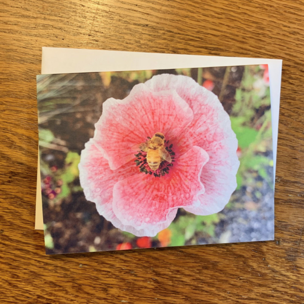 Downeast Thunder Farm Pollinator Note Cards - Image 5