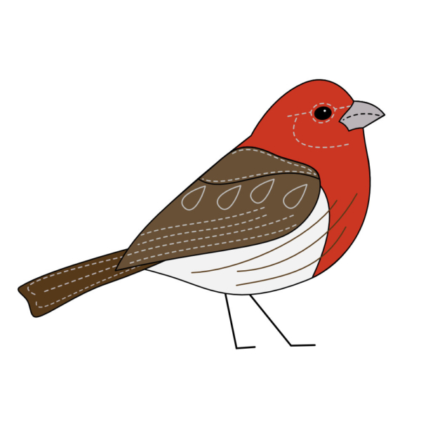 Downeast Thunder Farm Backyard Birds 2: Felt Ornament Designs - Image 6