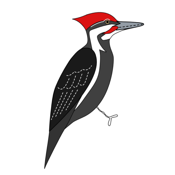 Downeast Thunder Farm Backyard Birds 2: Felt Ornament Designs - Image 16