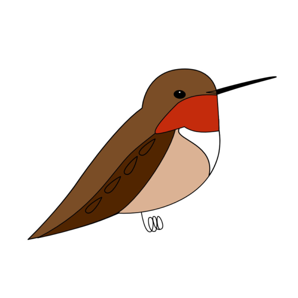 Downeast Thunder Farm Backyard Birds 2: Felt Ornament Designs - Image 5
