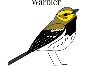 black throated green warbler