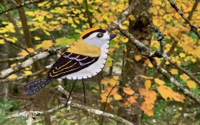 The Tiny Golden-crowned Kinglet