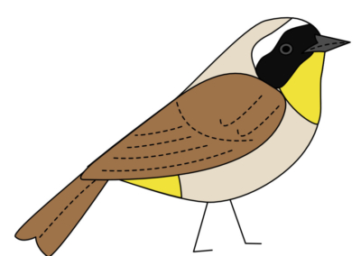 common yellowthroat