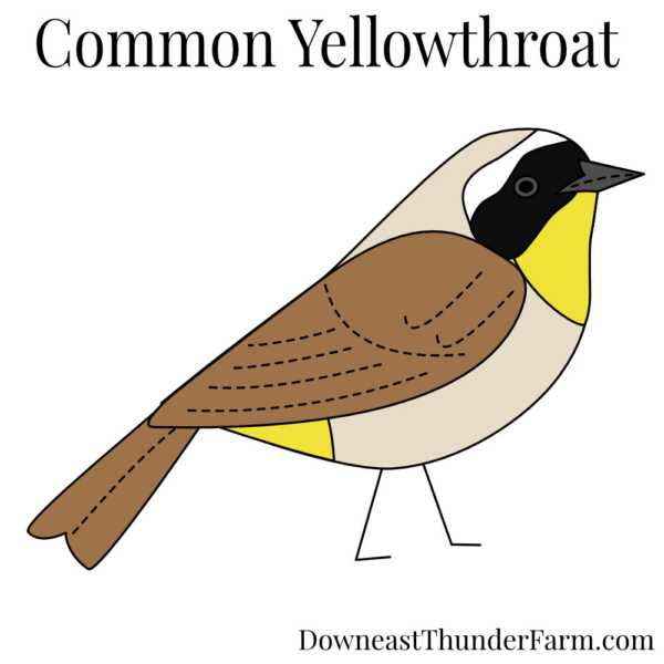 common yellowthroat