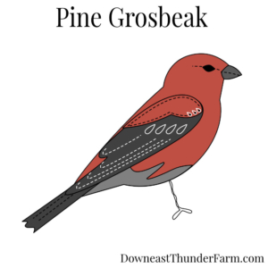 Pine Grosbeak Felt Kit