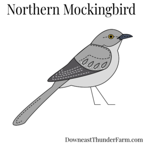 Northern Mockingbird Felt Kit