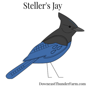 Steller's Jay Felt Kit
