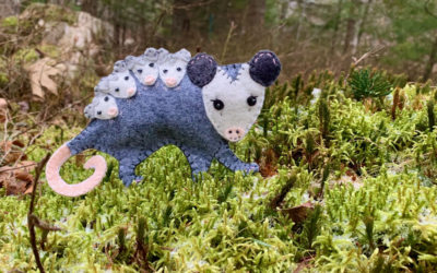 The Playful Opossum