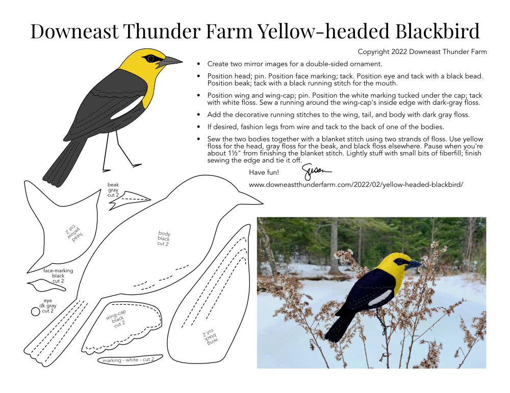 Yellow-headed Blackbird