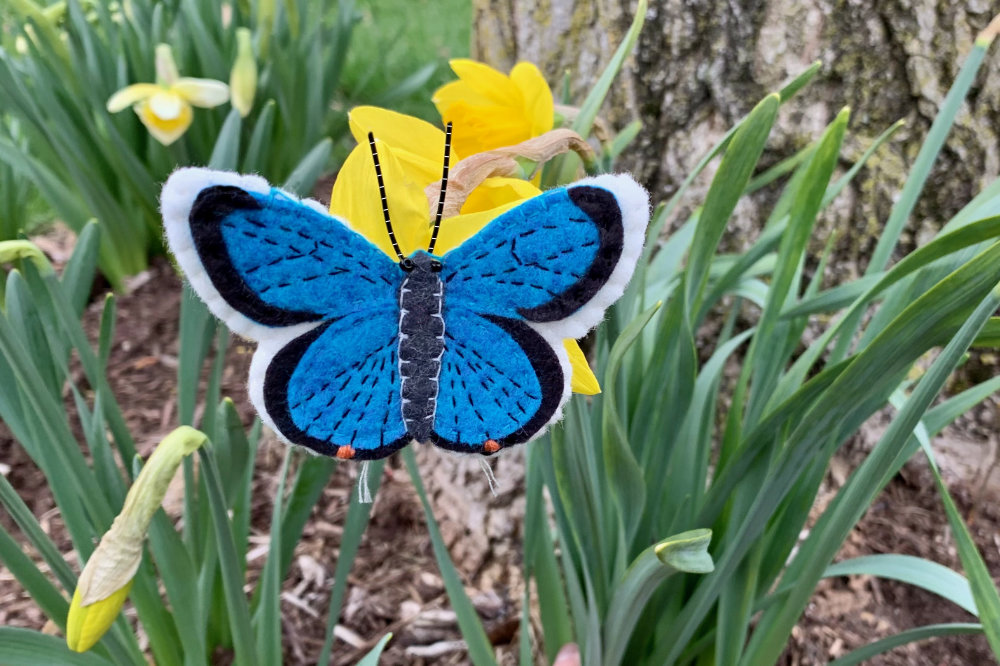 Eastern Tailed Blue Butterfly Felt Ornament Pattern