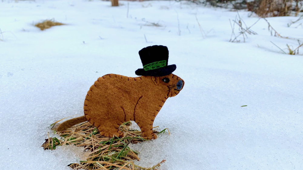 punxsutawney phil groundhog felt pattern