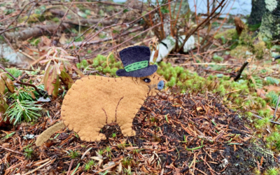 The Solitary Groundhog