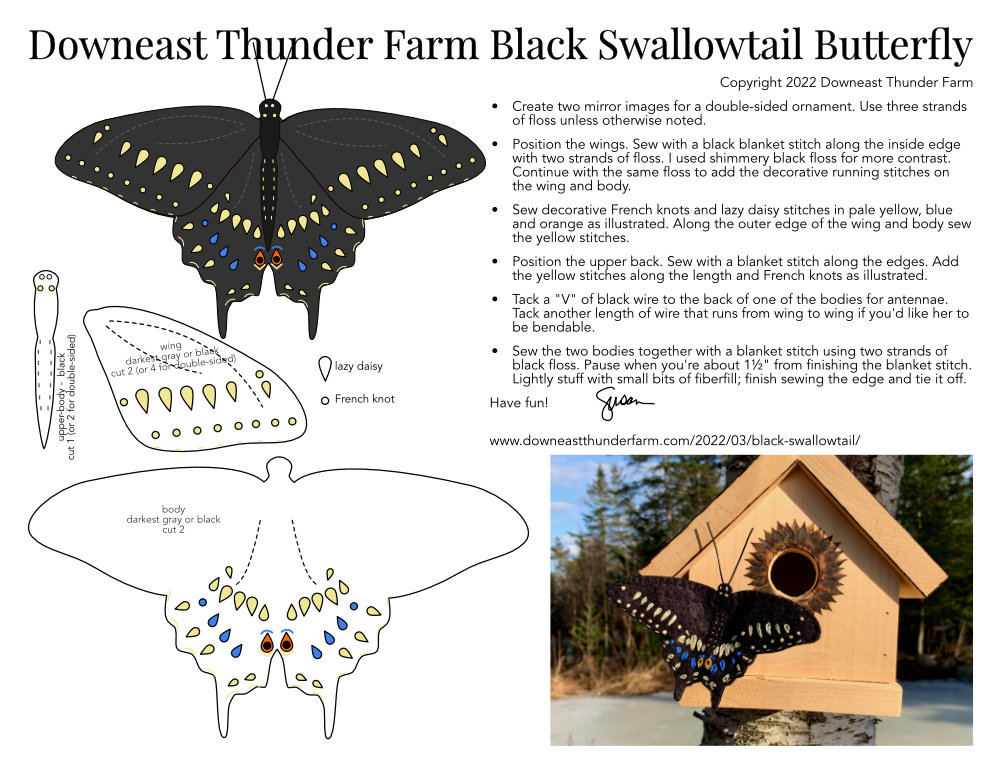 Black Swallowtail