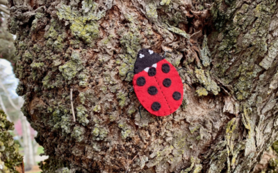 The Lively Ladybug
