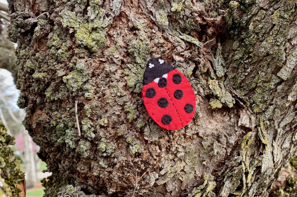 The Lively Ladybug