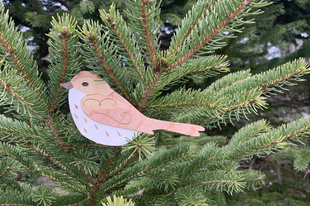 wood song sparrow