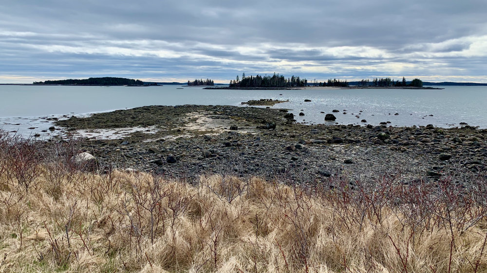 the bluffs looking out the pleasant bay