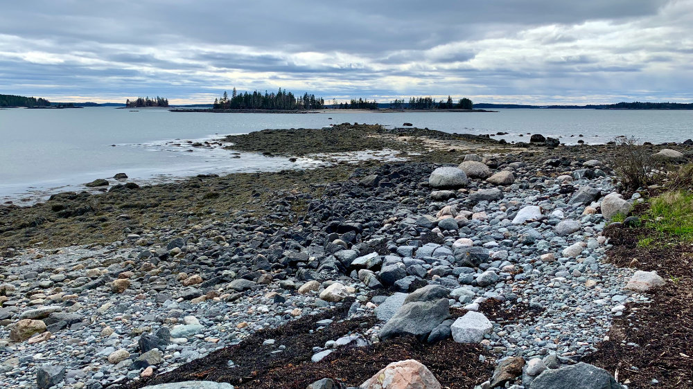 sheep island pleasant bay maine