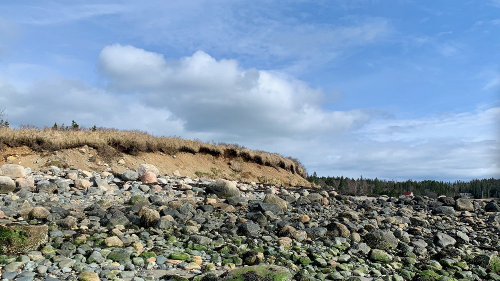 bluffs above a rocky beach addison maine