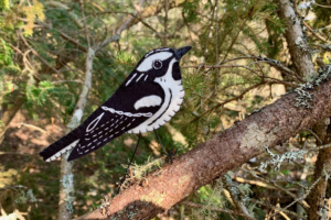 Black-and-white Warbler Felt Pattern