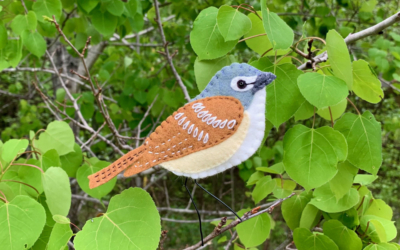 The Foraging Blue-headed Vireo