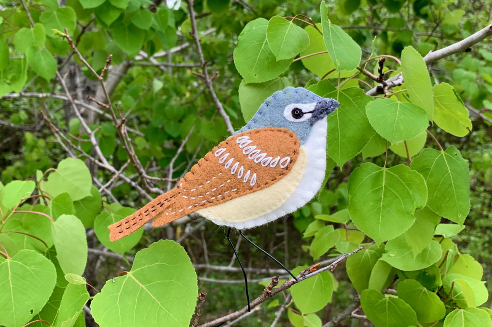 The Foraging Blue-headed Vireo