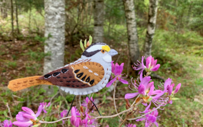 The Familiar White-throated Sparrow