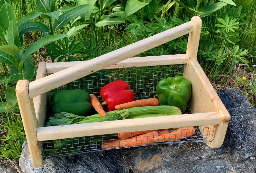 My New Garden Trug