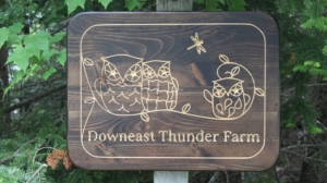 downeast thunder farm owl sign