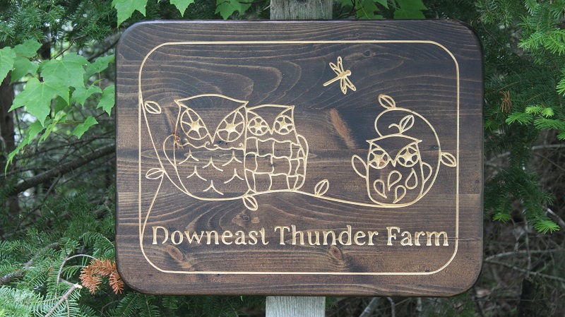 Downeast Thunder Farm Owl Sign