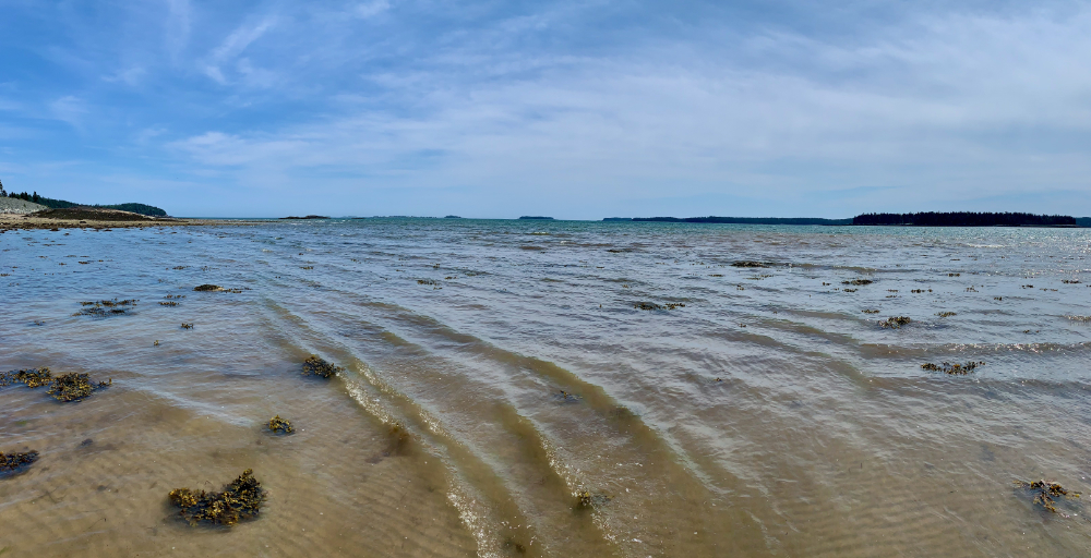 Roque Bluffs Beach