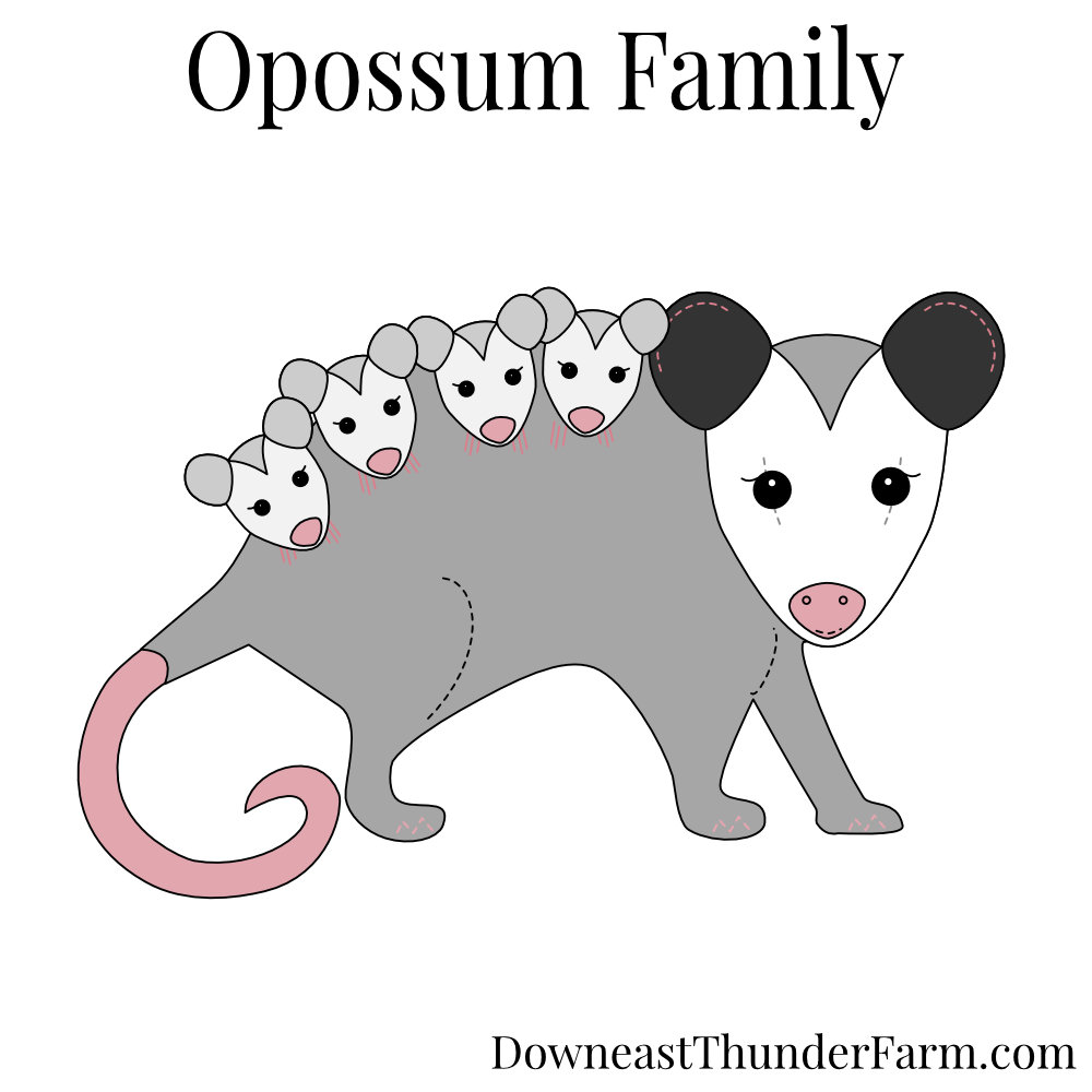 Opossum Family Felt Kit