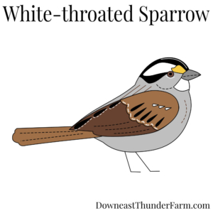 White-throated Sparrow Felt Kit