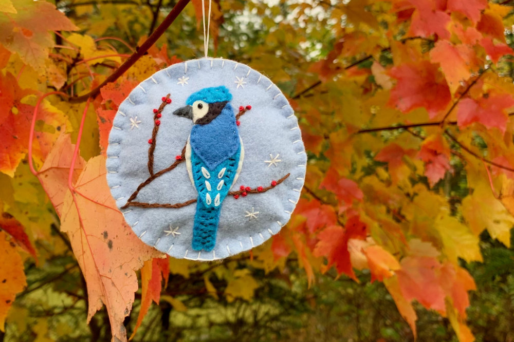 bluejay on branch ornmante