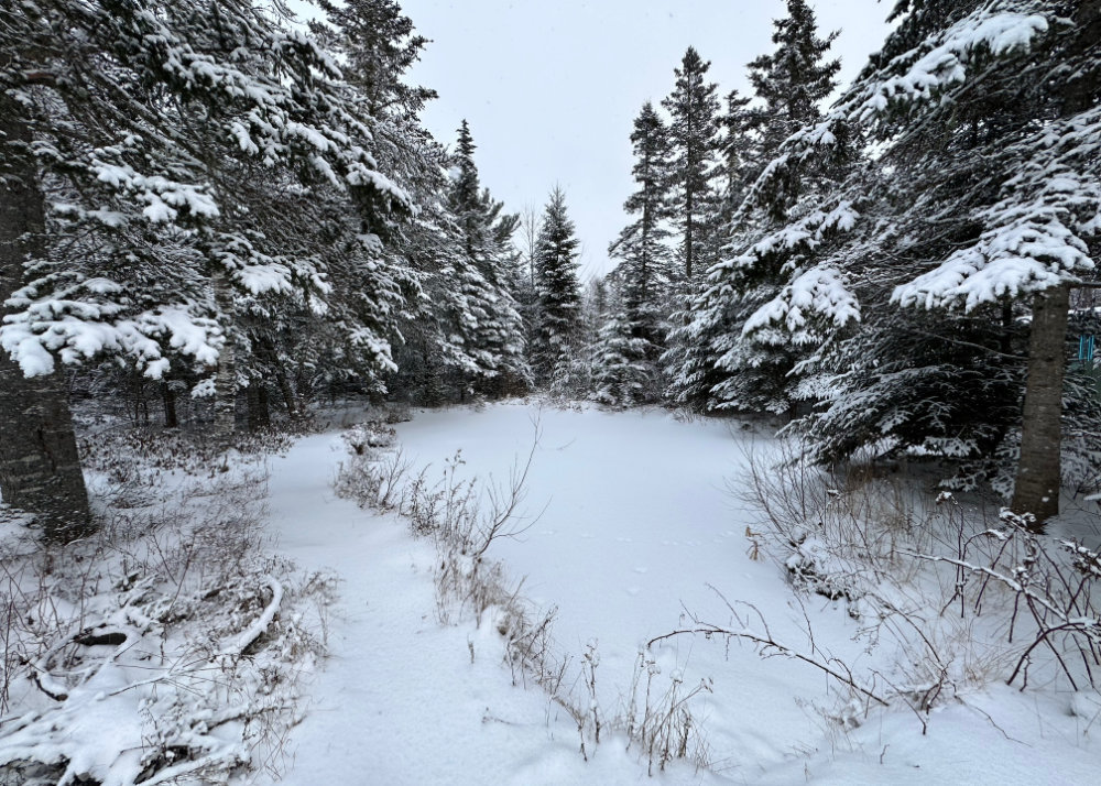 maine winter snow the pond