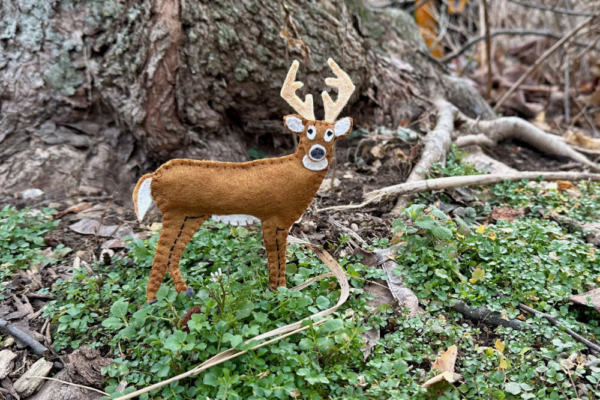 White-Tailed Deer felt kit