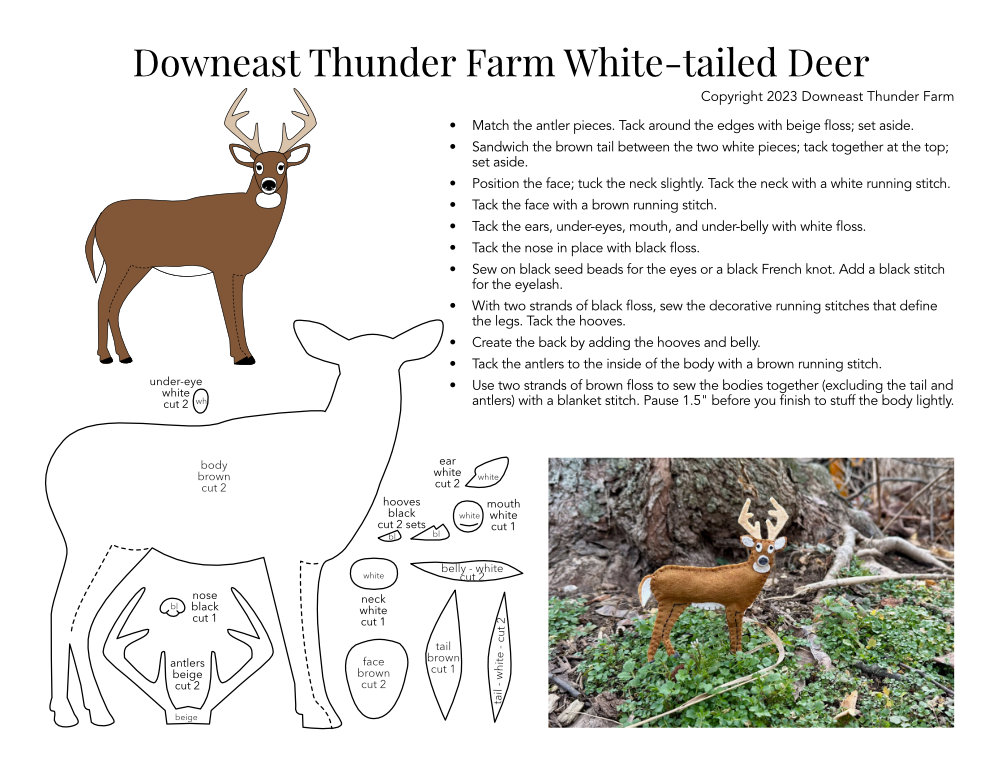 White-tailed Deer